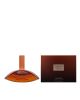 Calvin Klein Euphoria Amber Gold Women Perfume EDP 100 ml
